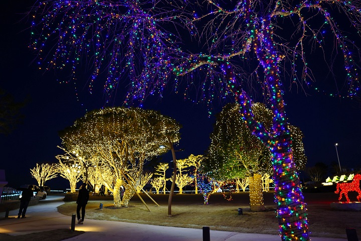 2-4. 보성군, 열선루에서 이순신 장군의 결의, 빛이 되어 나리다_보성열선루 이순신 역사문화공원 조명 경관(4).jpg