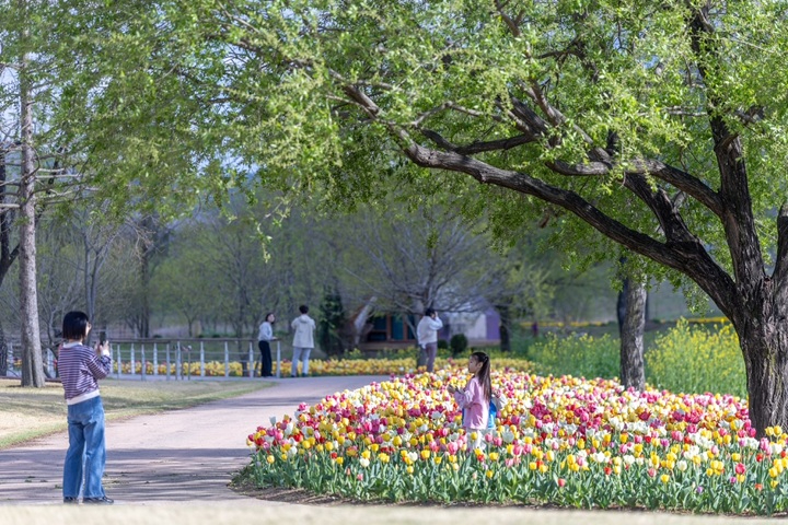 1 순천만국가정원 나눔숲에서 사진을 찍고 있는 모녀.JPG