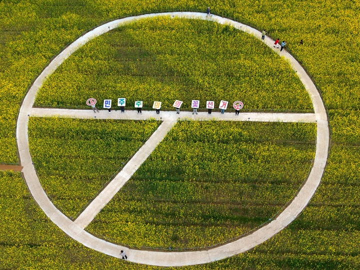 2. 나주시가 전라남도 선거관리위원회와 협업해 영산강 유채꽃 단지에 ‘기표용구’ 형태의 이색 포토존을 조성했다.JPG